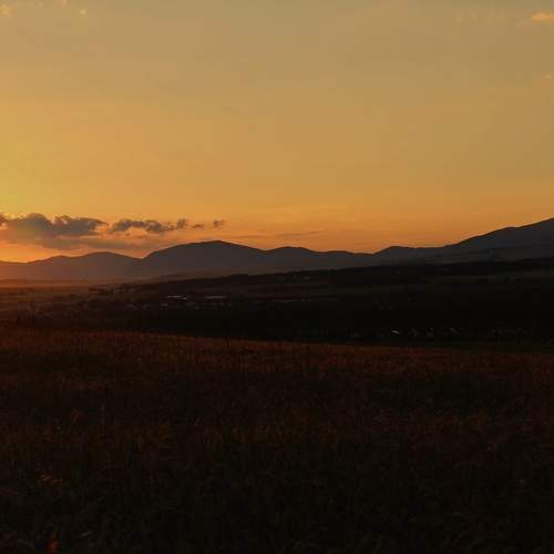 Photo #8167454