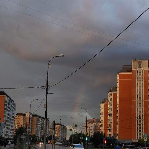Photo #8167657