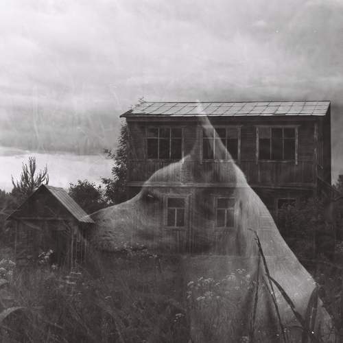 Photo #8167774