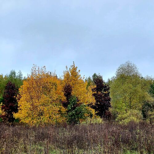 Photo #8167824