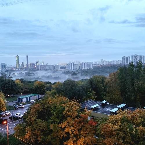 Photo #8168049