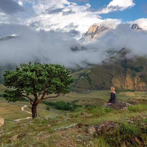 Photo #8168118