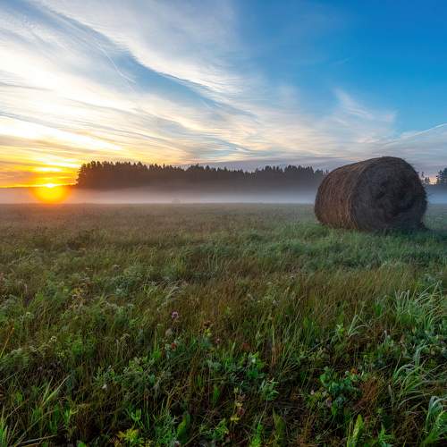 Photo #8168135