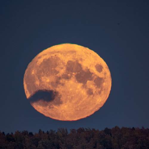 Photo #8168147