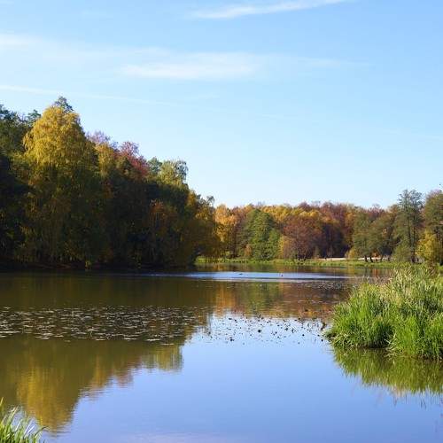 Photo #8168309