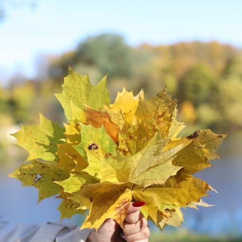 Photo #8168332