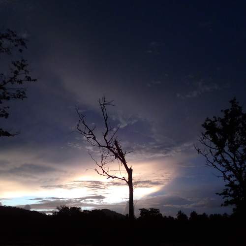 Photo #8168345