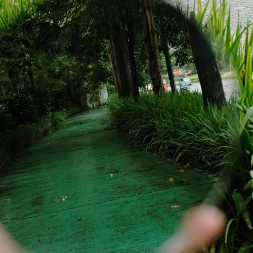 Photo #8168415