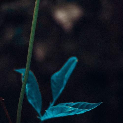 Photo #8168453