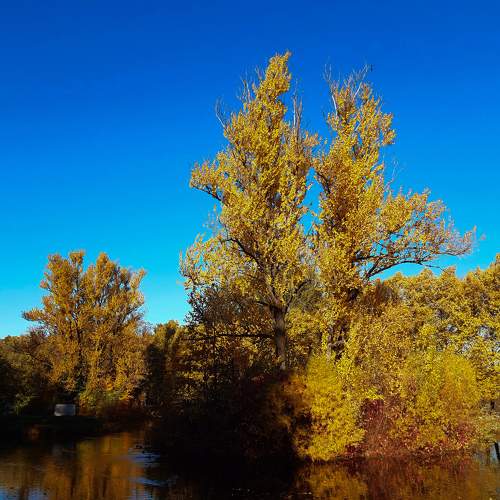 Photo #8168509