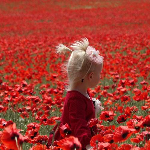 Photo #8168581