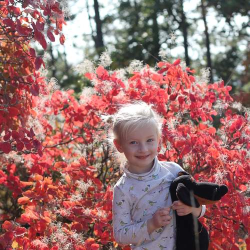 Photo #8168582