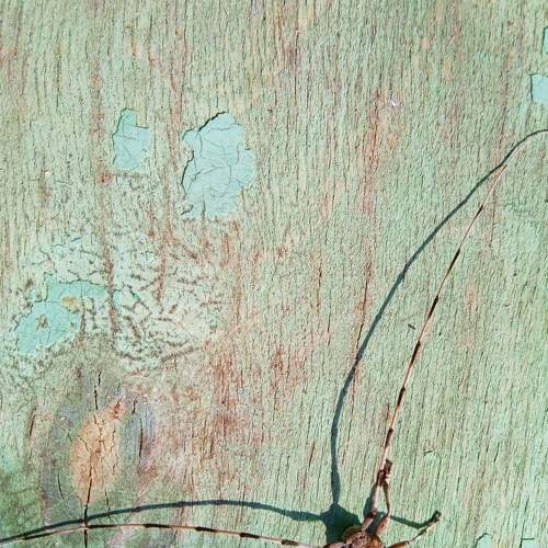 Photo #8168855