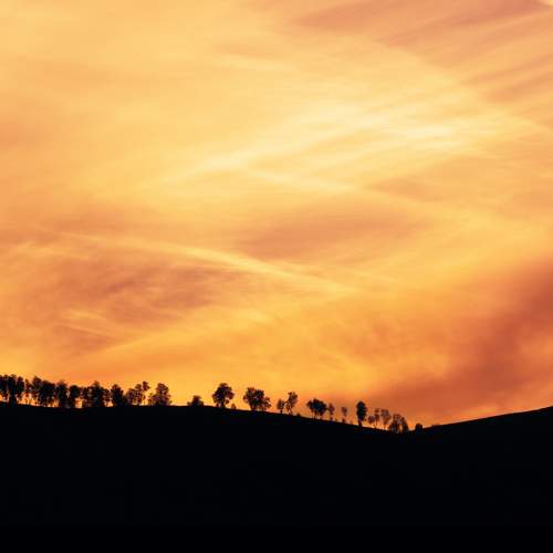 Photo #8168874