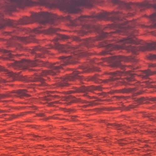 Photo #8169040