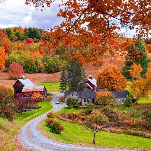 Photo #8169201