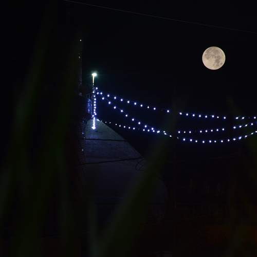 Photo #8169262