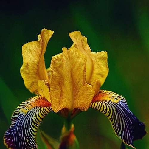 Photo #8169792