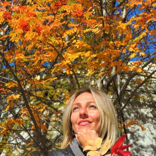 Photo #8169914