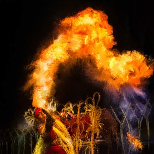 Photo #8169928