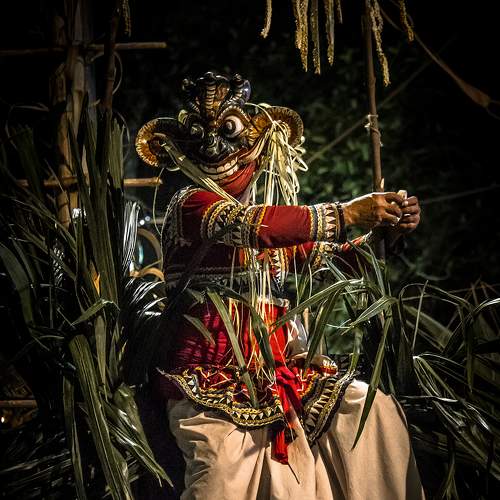 Photo #8169939