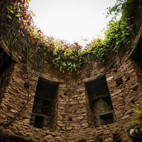 Photo #8170006