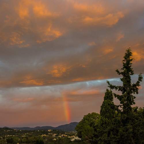 Photo #8170039