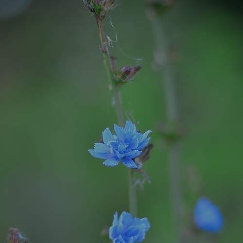 Photo #8170083