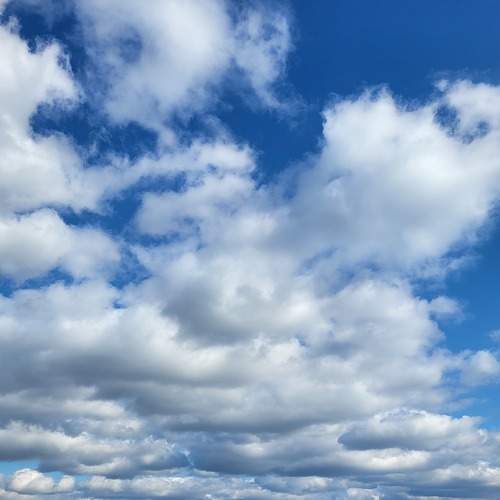 Photo #8170107