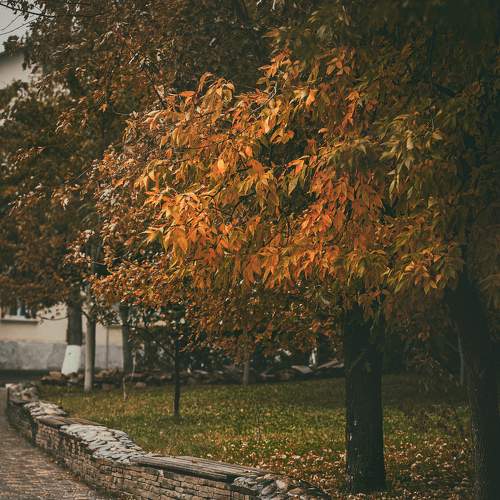 Photo #8170116