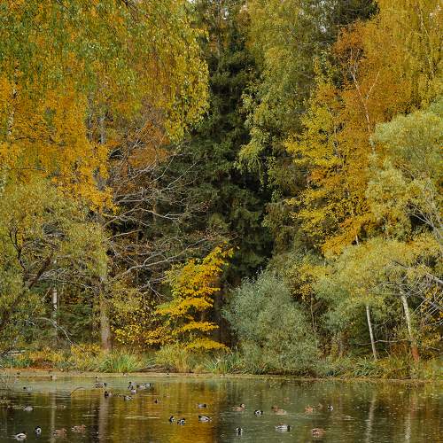 Photo #8170161