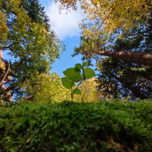 Photo #8170211