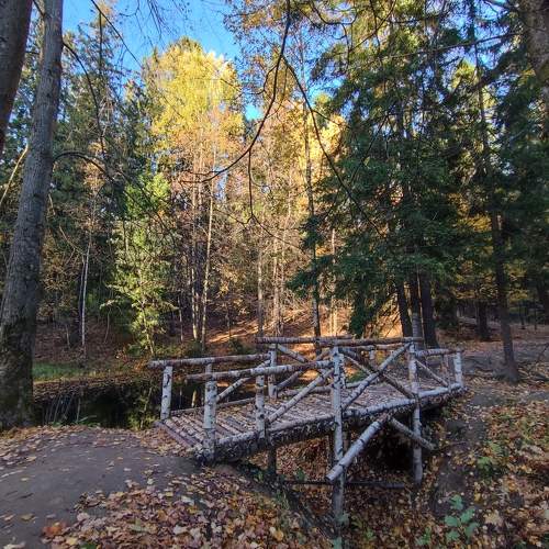 Photo #8170222