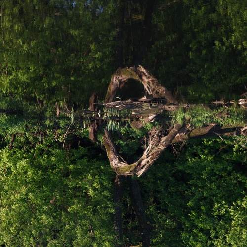 Photo #8170405