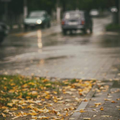 Photo #8170426
