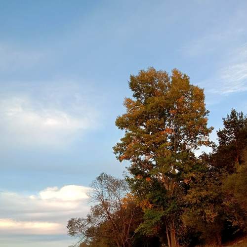 Photo #8170441