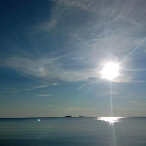 Photo #8170454