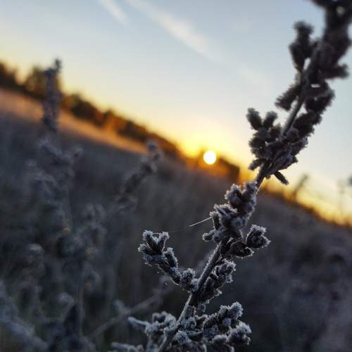 Photo #8170500
