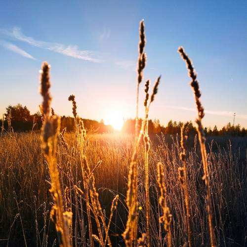Photo #8170502
