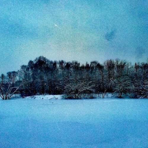 Photo #8170513