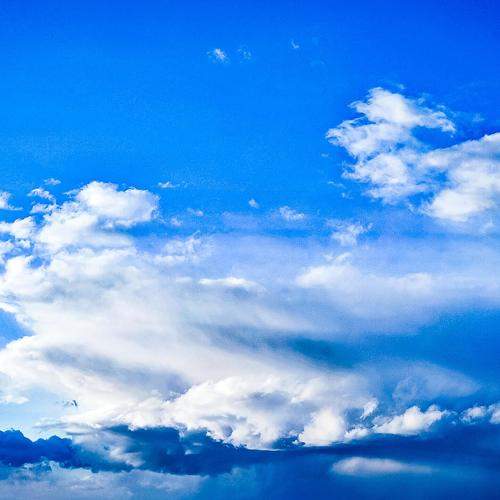 Photo #8170519