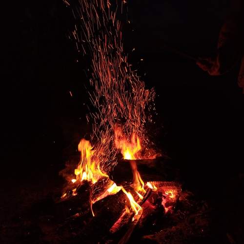 Photo #8170536