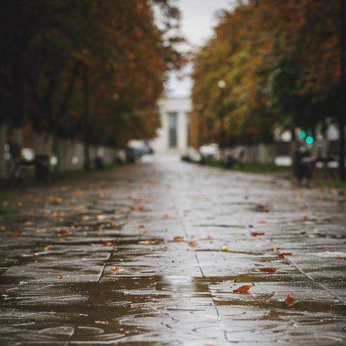 Photo #8170740