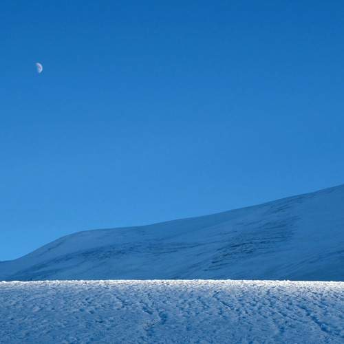 Photo #8170744