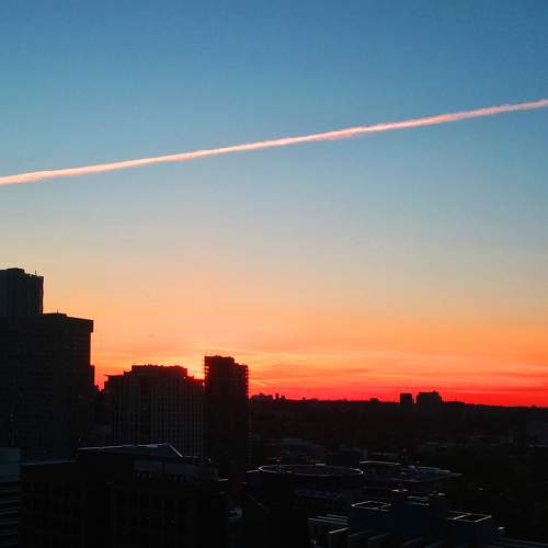 Photo #8171058