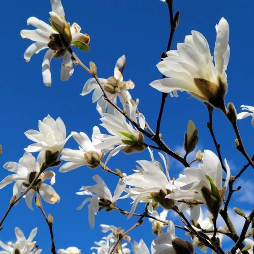 Photo #8171183