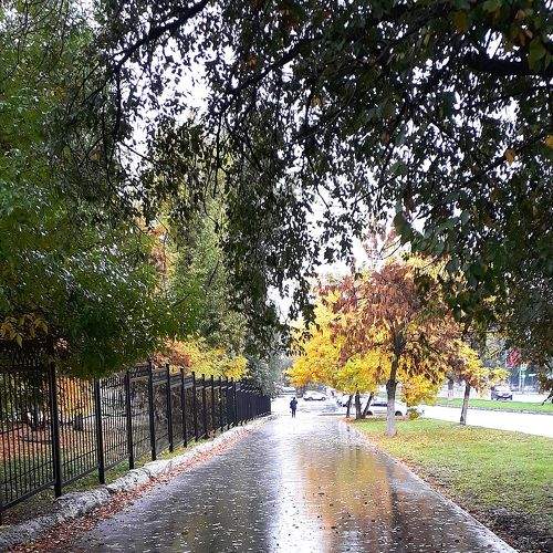 Photo #8171294