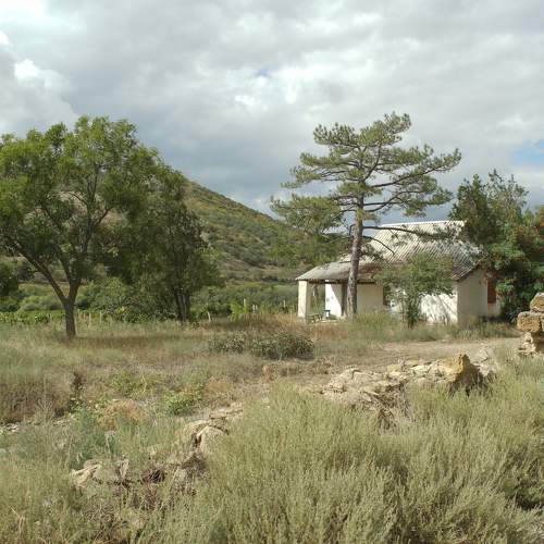 Photo #8171531