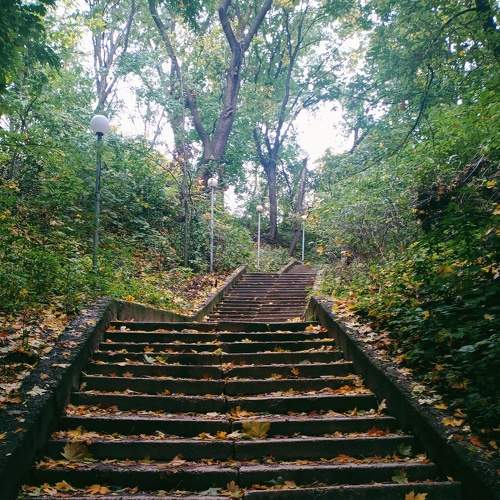 Photo #8171629