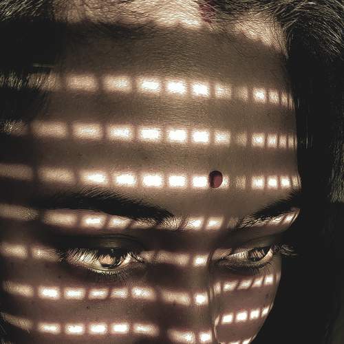 Photo #8171805